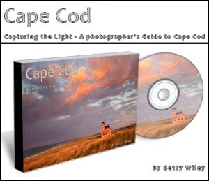 Just Released Cape Cod Capturing The Light